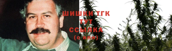 ПСИЛОЦИБИНОВЫЕ ГРИБЫ Алзамай
