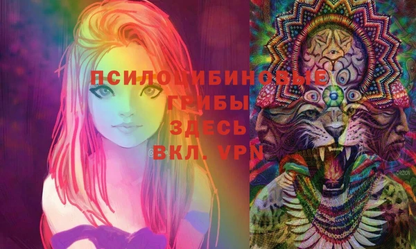 спиды Баксан